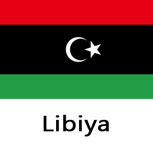 libiya300x300 copy