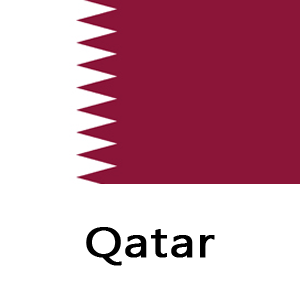 qatar300x300 copy